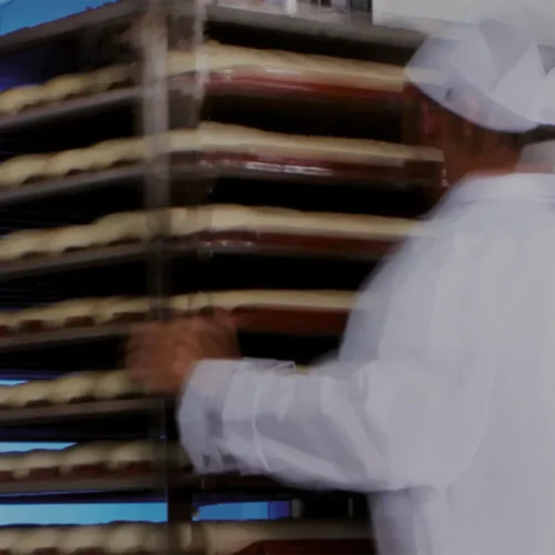 Fermentación controlada