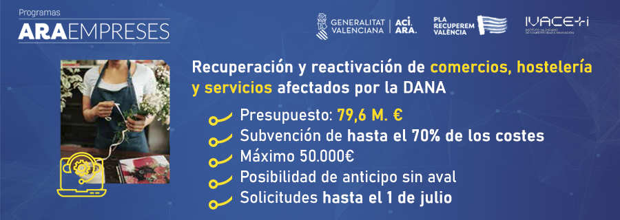 Ayudas dana comercios, hostelería y servicios
