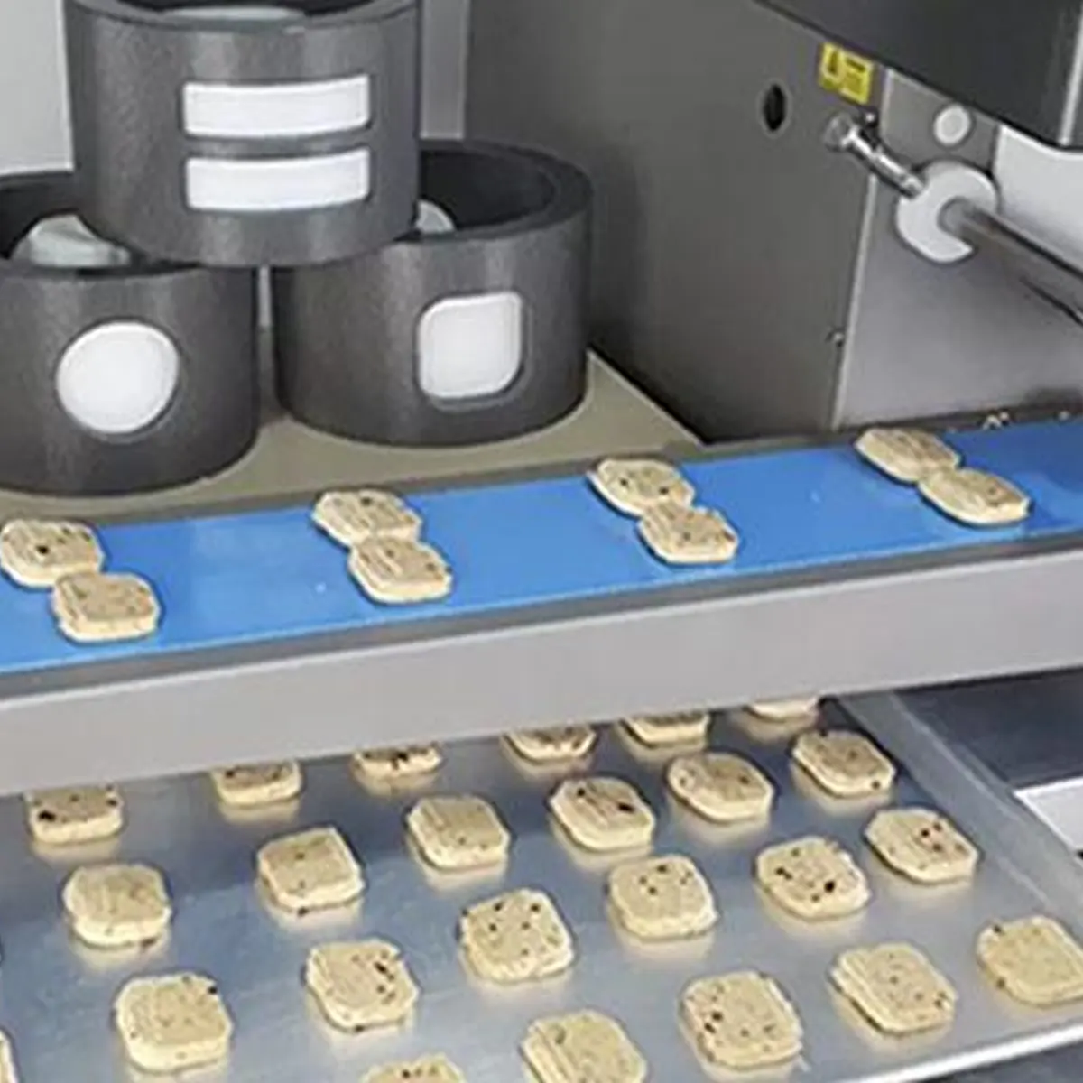 formadora tf mini de galletas